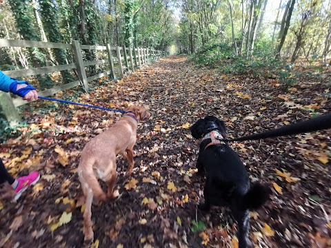 Tarporley Tails Trails