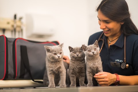 Bath Veterinary Group, Bath Cat Clinic