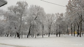 Парк ім. Івана Виговського