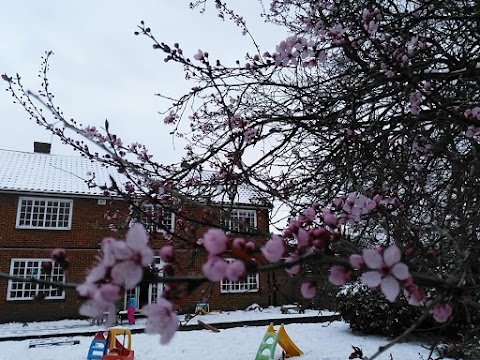 The Lime Tree Children's Day Nursery Alton