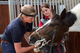 Stable Close Equine Practice