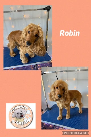 Poochies and Cream Dog Grooming