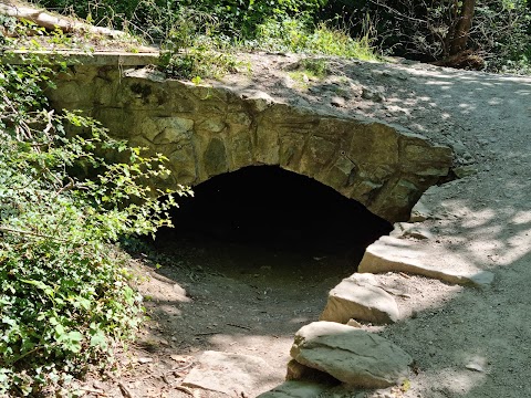 Loggerheads Country Park