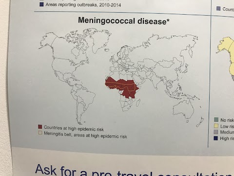 Vaccines for travels