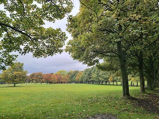 Woodhouse Moor