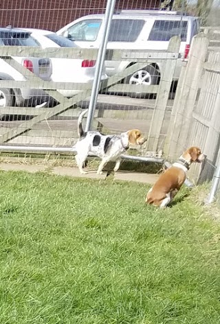 The Spires Boarding - Kennels, Cattery & Livery