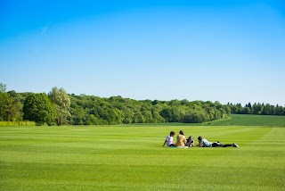 Lord Wandsworth College