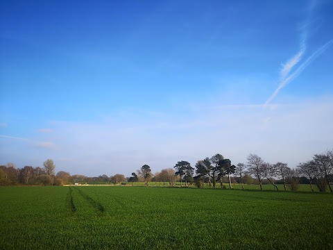 Lower Moss Wood Educational Nature Reserve and Wildlife Hospital