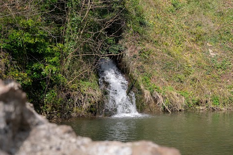 Wick Golden Valley Nature Reserve