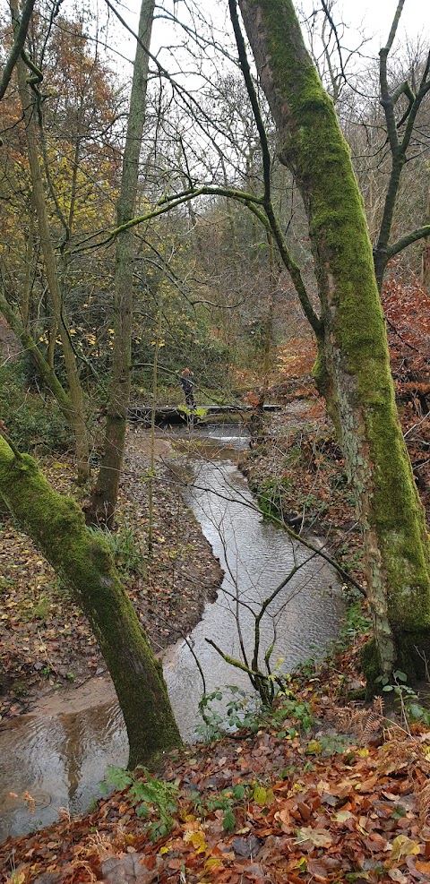 Stalybridge Country Park