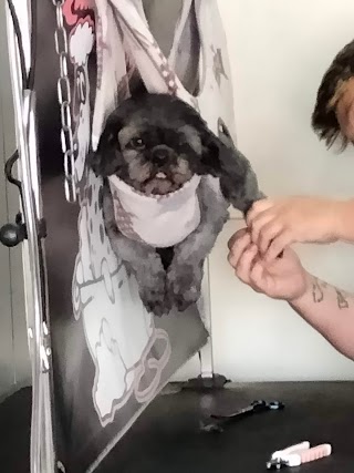 Lulu's Dog Grooming