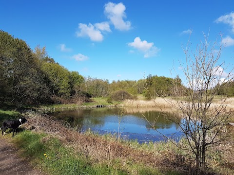 Fitzwilliam Country Park