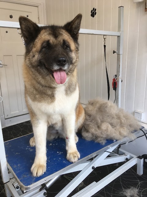 The kennel dog grooming