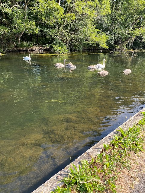 River Walk