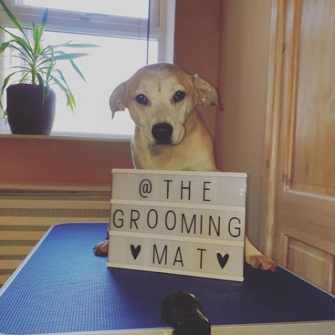 The Grooming Mat