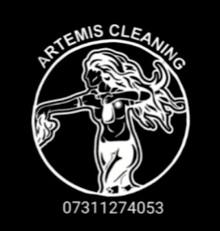 Artemis cleaning