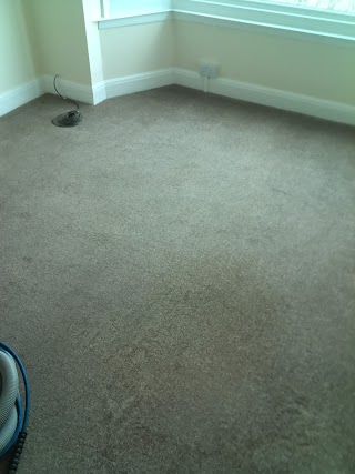 City Carpet Cleaning Brighton and Hove