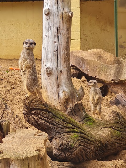 Birmingham Wildlife Conservation Park