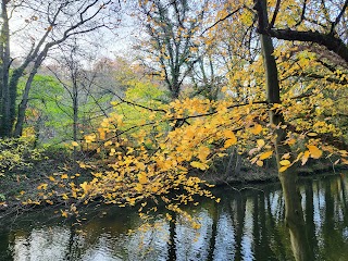 Beeley Wood