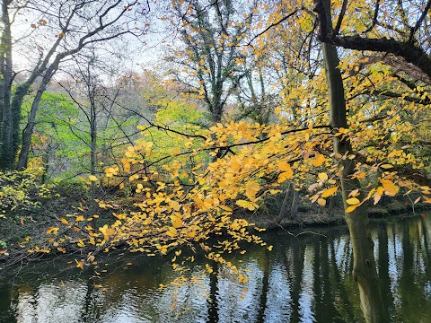 Beeley Wood