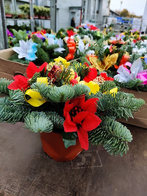 GBR Wholesale Flowers