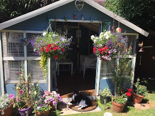 The Therapy Room, Formby