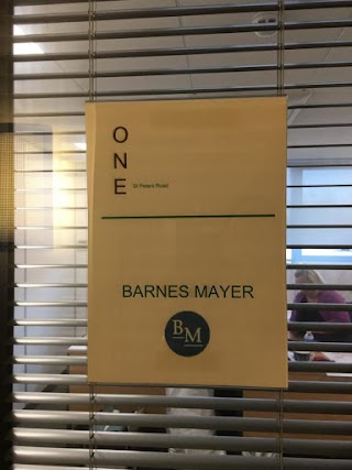 BARNES MAYER LTD