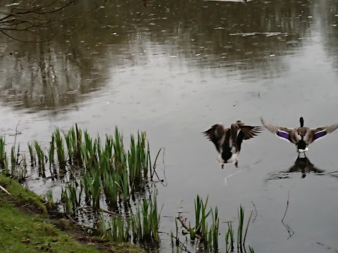 Baggeridge Country Park