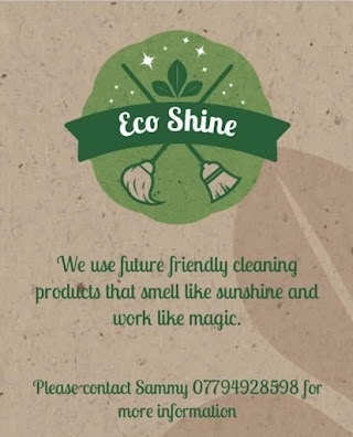 Eco Shine & Declutter