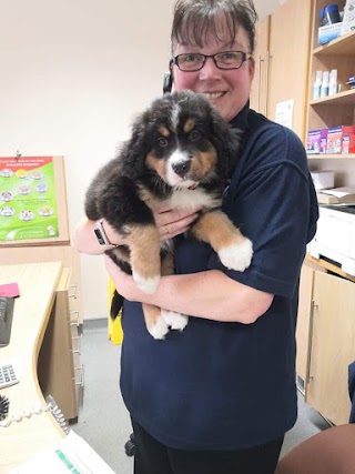 Hale Veterinary Group, Equine Clinic