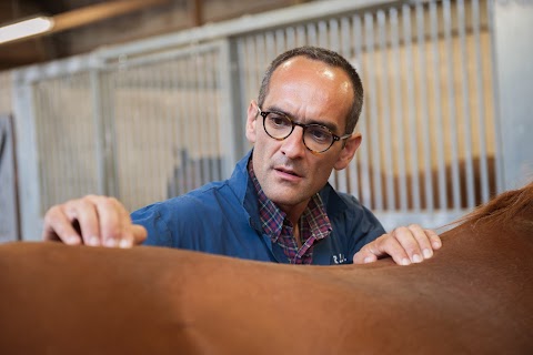 Royal Veterinary College Equine Practice and Referral Hospital