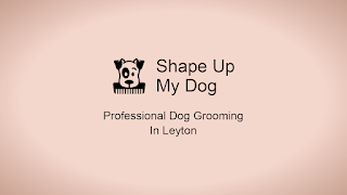 Shape Up My Dog