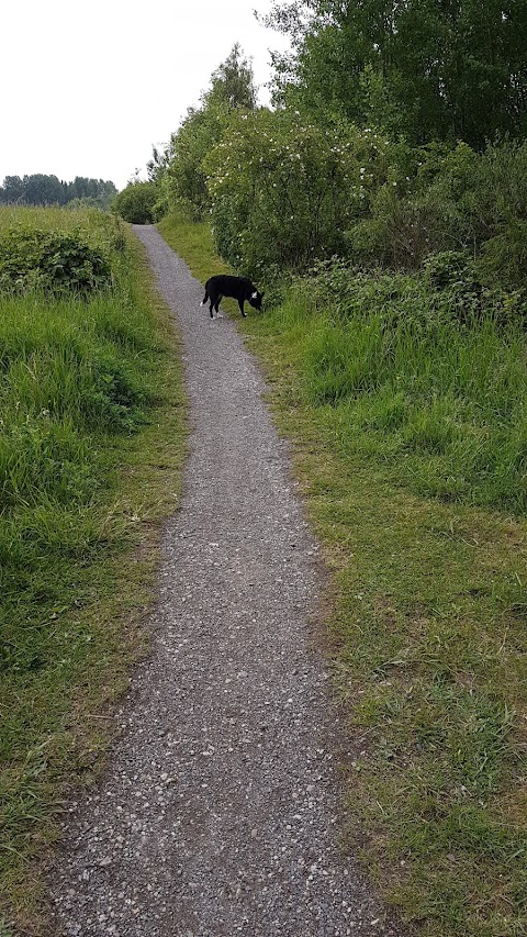 Fitzwilliam Country Park