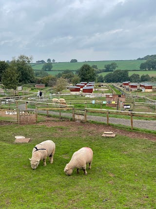 Hoar Park Children's Farm