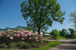 St Margaret's Academy