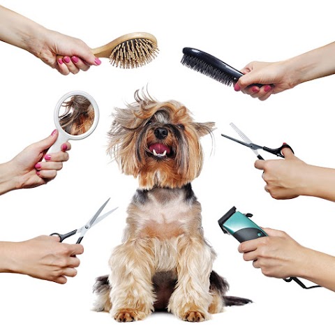 For The Love Of Dog Mobile & Salon Dog Grooming Lymington