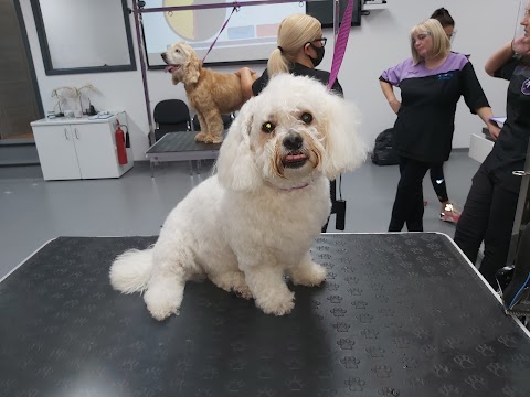 Anrich Dog Grooming School