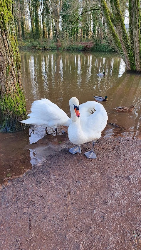 Chew Valley Lake Picnic Area