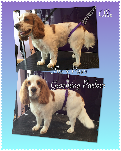 The 4 Paws Grooming & Boarding Services