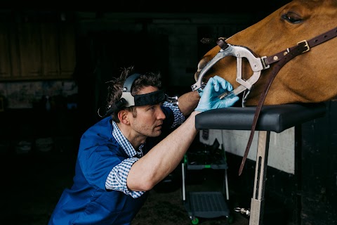 Bescoby Equine Vets