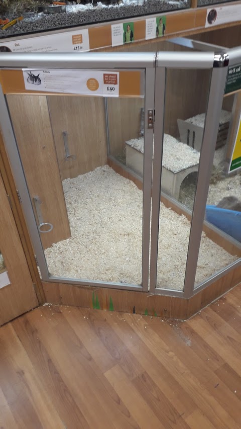 Pets at Home Bicester