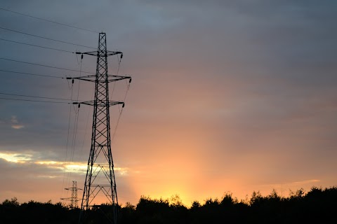 Hillfield Nature Reserve