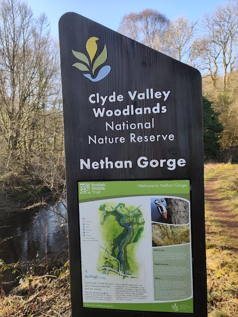 Nethan Gorge