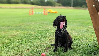 Westhill Secure Dog Parks