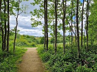 Sandgate Park