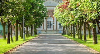 USP College - Palmer's Campus