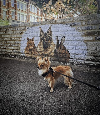 Alexandra Park Road Veterinary Surgery