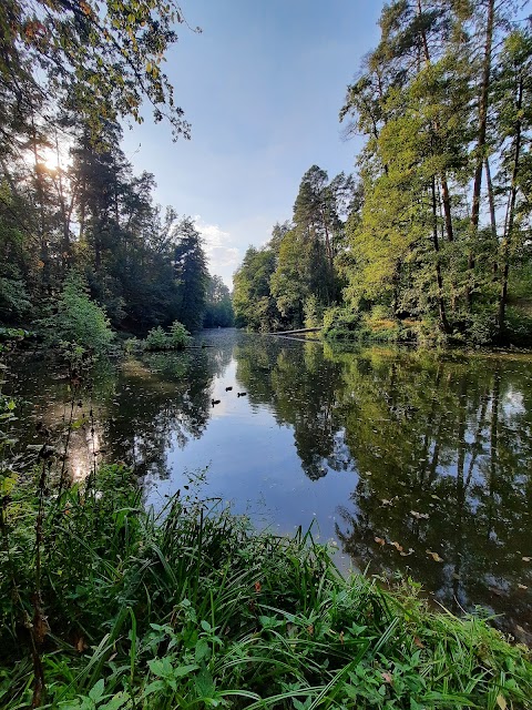 Пляж Пуща Водица