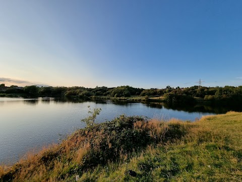 Buckpool and Fens Pool Local Nature Reserve