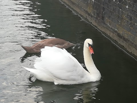 Surrey Docks Fitness & Water Sports Centre